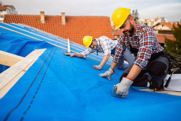 Best Roof Insulation Installation  in Sansom Park, TX