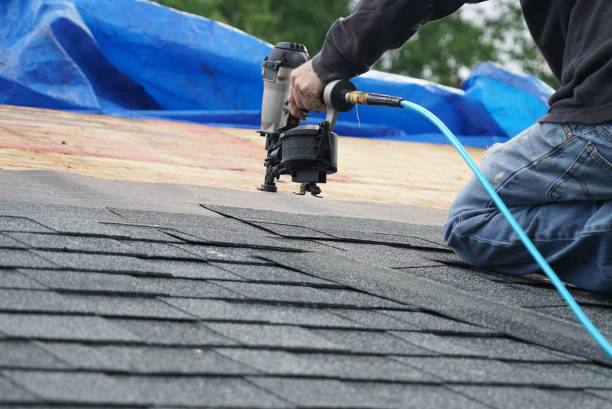 Best Roof Moss and Algae Removal  in Sansom Park, TX