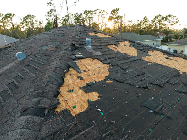Best Sheet Metal Roofing  in Sansom Park, TX