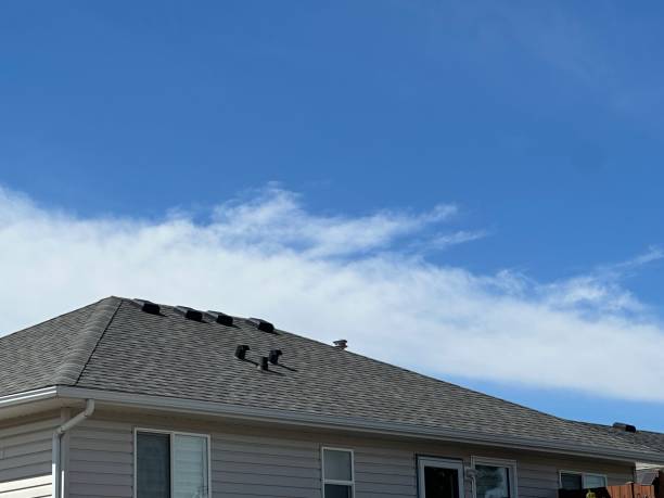 Best Steel Roofing  in Sansom Park, TX